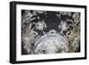 A Reef Stonefish Blends into its Underwater Surroundings-Stocktrek Images-Framed Photographic Print