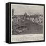 A Regatta in Rhodesia-null-Framed Stretched Canvas