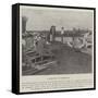 A Regatta in Rhodesia-null-Framed Stretched Canvas