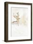 A Reindeer in a Stylised Winter Landscape. a Christmas Decoration-Petra Daisenberger-Framed Photographic Print