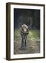 A Reindeer or Caribou Standing in Grass Wary-Sheila Haddad-Framed Photographic Print