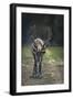 A Reindeer or Caribou Standing in Grass Wary-Sheila Haddad-Framed Photographic Print