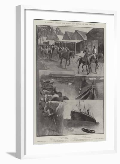 A Remount Market for Boers and Britons at New Orleans-Henry Charles Seppings Wright-Framed Giclee Print