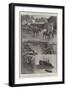 A Remount Market for Boers and Britons at New Orleans-Henry Charles Seppings Wright-Framed Giclee Print