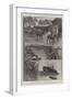 A Remount Market for Boers and Britons at New Orleans-Henry Charles Seppings Wright-Framed Giclee Print