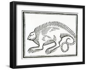 A Reptile Found in the New World, from 'La Historia General De Las Indias', 1547-null-Framed Giclee Print