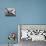 A Republic AT-12 Guardsman Aircraft in Flight-Stocktrek Images-Stretched Canvas displayed on a wall