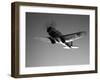 A Republic AT-12 Guardsman Aircraft in Flight-Stocktrek Images-Framed Photographic Print