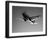 A Republic AT-12 Guardsman Aircraft in Flight-Stocktrek Images-Framed Photographic Print