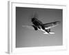 A Republic AT-12 Guardsman Aircraft in Flight-Stocktrek Images-Framed Photographic Print