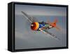 A Republic P-47D Thunderbolt in Flight-Stocktrek Images-Framed Stretched Canvas