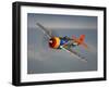 A Republic P-47D Thunderbolt in Flight-Stocktrek Images-Framed Photographic Print