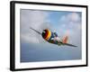 A Republic P-47D Thunderbolt in Flight-Stocktrek Images-Framed Photographic Print