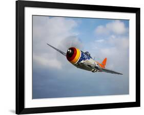 A Republic P-47D Thunderbolt in Flight-Stocktrek Images-Framed Photographic Print