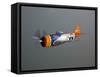 A Republic P-47D Thunderbolt in Flight-Stocktrek Images-Framed Stretched Canvas