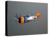 A Republic P-47D Thunderbolt in Flight-Stocktrek Images-Stretched Canvas