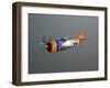 A Republic P-47D Thunderbolt in Flight-Stocktrek Images-Framed Photographic Print