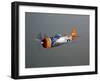 A Republic P-47D Thunderbolt in Flight-Stocktrek Images-Framed Photographic Print