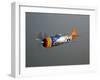 A Republic P-47D Thunderbolt in Flight-Stocktrek Images-Framed Photographic Print