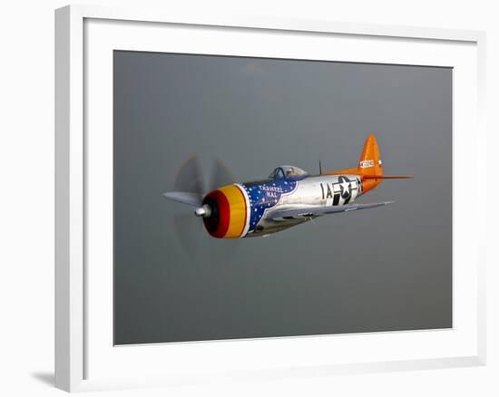 A Republic P-47D Thunderbolt in Flight-Stocktrek Images-Framed Photographic Print