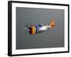 A Republic P-47D Thunderbolt in Flight-Stocktrek Images-Framed Photographic Print