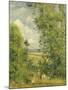 A Rest in the Meadow, 1878-Camille Pissarro-Mounted Giclee Print