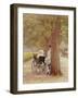 A Rest in the Row, 1892-Rose Maynard Barton-Framed Giclee Print