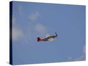 A Restored P-51 Mustang Associated with the Tuskegee Airmen-Stocktrek Images-Stretched Canvas