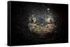 A Reticulate Stargazer Buried in Sand, Lembeh Strait, Indonesia-null-Framed Stretched Canvas