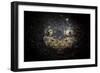 A Reticulate Stargazer Buried in Sand, Lembeh Strait, Indonesia-null-Framed Photographic Print