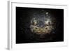 A Reticulate Stargazer Buried in Sand, Lembeh Strait, Indonesia-null-Framed Photographic Print