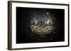 A Reticulate Stargazer Buried in Sand, Lembeh Strait, Indonesia-null-Framed Photographic Print