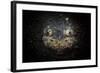 A Reticulate Stargazer Buried in Sand, Lembeh Strait, Indonesia-null-Framed Photographic Print