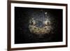 A Reticulate Stargazer Buried in Sand, Lembeh Strait, Indonesia-null-Framed Photographic Print