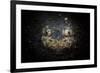 A Reticulate Stargazer Buried in Sand, Lembeh Strait, Indonesia-null-Framed Photographic Print