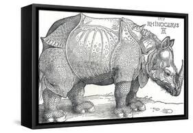 'A Rhinoceros', 1515, (1906)-Albrecht Durer-Framed Stretched Canvas