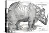 'A Rhinoceros', 1515, (1906)-Albrecht Durer-Stretched Canvas