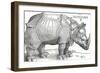 'A Rhinoceros', 1515, (1906)-Albrecht Durer-Framed Giclee Print