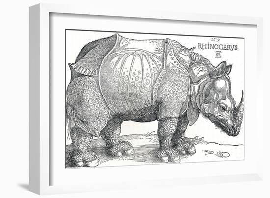 'A Rhinoceros', 1515, (1906)-Albrecht Durer-Framed Giclee Print