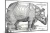 'A Rhinoceros', 1515, (1906)-Albrecht Durer-Mounted Giclee Print