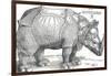 'A Rhinoceros', 1515, (1906)-Albrecht Durer-Framed Giclee Print