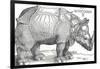 'A Rhinoceros', 1515, (1906)-Albrecht Durer-Framed Giclee Print