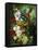 A Rich Still Life of Summer Flowers-Jan van Os-Framed Stretched Canvas