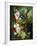 A Rich Still Life of Summer Flowers-Jan van Os-Framed Giclee Print