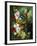 A Rich Still Life of Summer Flowers-Jan van Os-Framed Giclee Print