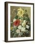 A Rich Still Life with Sunflower and Roses-C.f. Hurten-Framed Giclee Print
