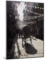 A Rickshaw Driving Through the Streets of Kathmandu, Nepal, Asia-John Woodworth-Mounted Photographic Print