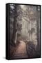 A Ride in the Woods-Philippe Sainte-Laudy-Framed Stretched Canvas