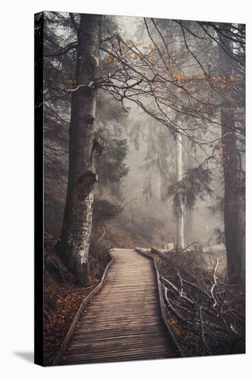 A Ride in the Woods-Philippe Sainte-Laudy-Stretched Canvas