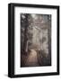 A Ride in the Woods-Philippe Sainte-Laudy-Framed Photographic Print